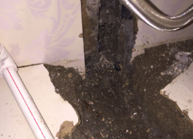 来宾卫生间测漏水哪家好