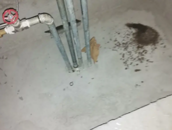 来宾卫生间测漏水价格明细